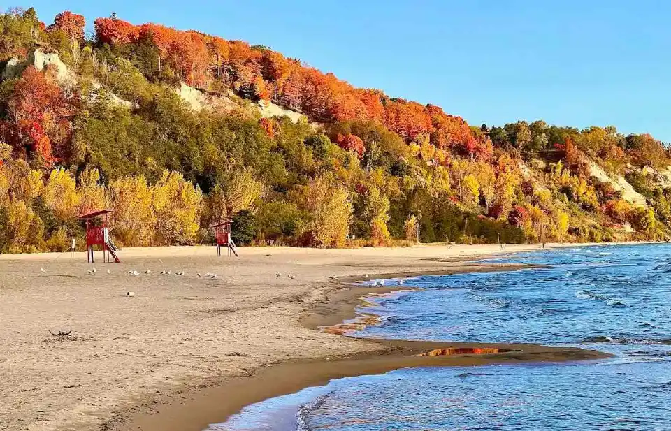 5_Bluffers Park