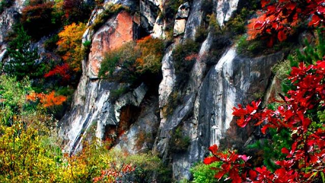 tai yue shan guo jia sen lin gong yuan