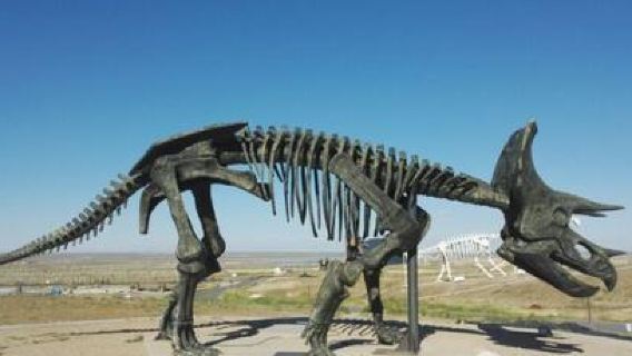 Erlian Cretaceous Dinosaur Fossil Protection Area