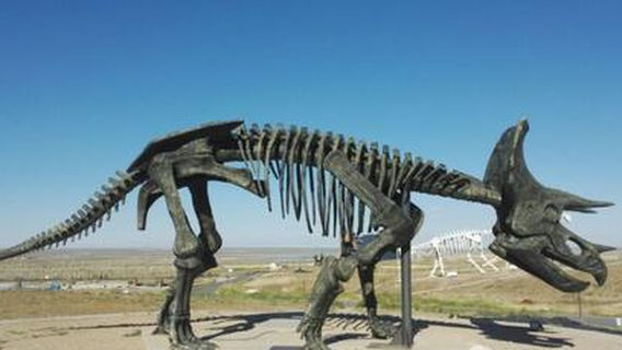 Erlian Cretaceous Dinosaur Fossil Protection Area