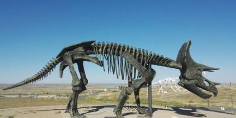 Erlian Cretaceous Dinosaur Fossil Protection Area