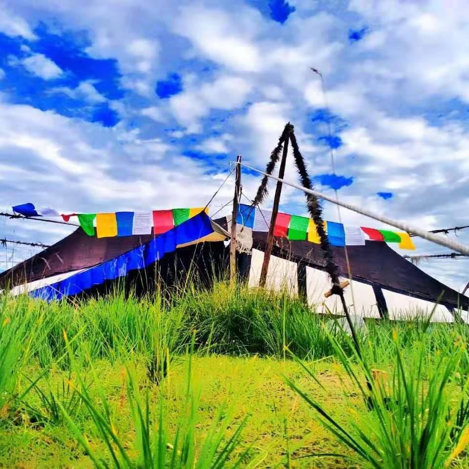 Hudong Sheep Breeding Farm