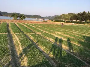 Heyuan Wanlv Valley Aerial Drifting