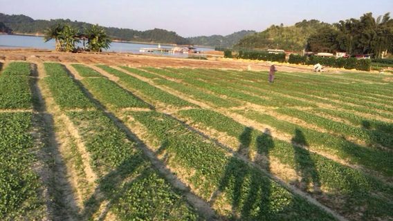 Heyuan Wanlv Valley Aerial Drifting