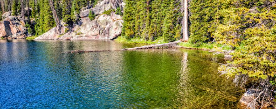 Medicine Bow-Routt National Forests