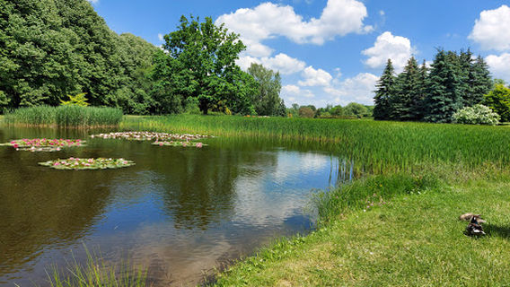 Botanical garden in Łódź