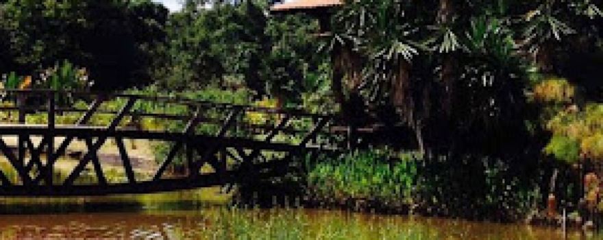 Brasilia Botanical Garden