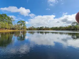 Bluff Springs Campground