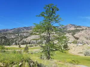 Alta Lake Golf Resort