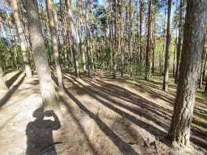 Lookout on the slope - Lake. Charzykowskie