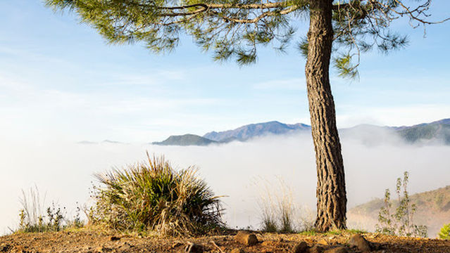 Mirador Monte Oceano