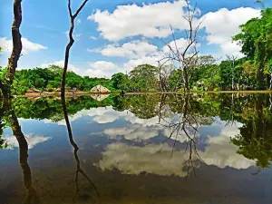 Wilandagoda Arannya (Royal Temple)
