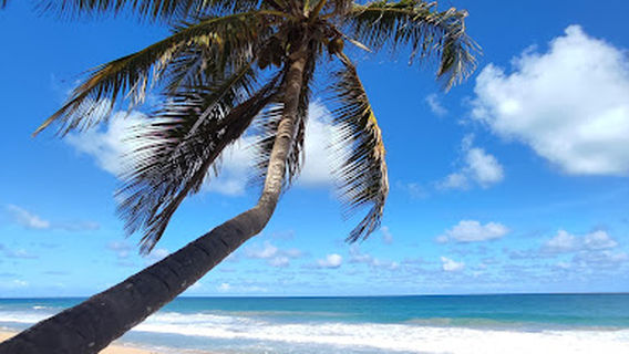 Playa de la Barbacoa