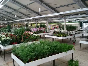 Gartencenter Grünwald GmbH & Co. KG