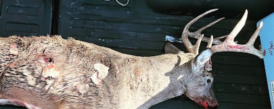 Red Dog Outfitters - Kansas Premier Whitetail & Mule Deer Hunting Outfitter