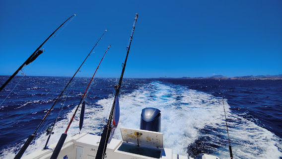 Gofio Tuna Fishing Tenerife