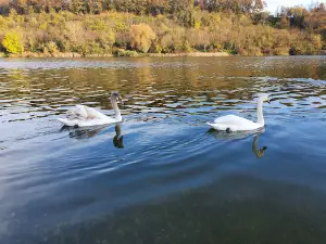 Lake Bruje