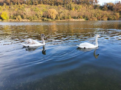 Lake Bruje