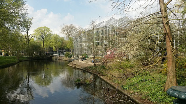 Hortus Botanicus Amsterdam