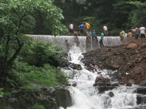 Radhanagari Wildlife Sanctuary