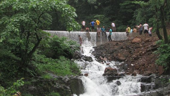Radhanagari Wildlife Sanctuary