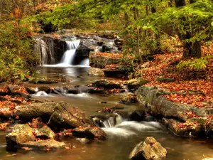 Hickory Run State Park