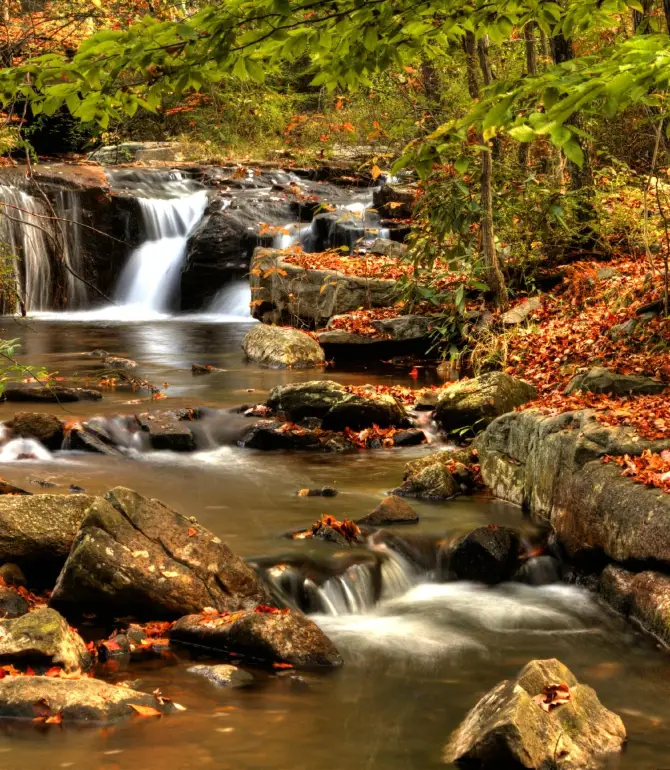 Kidder Township