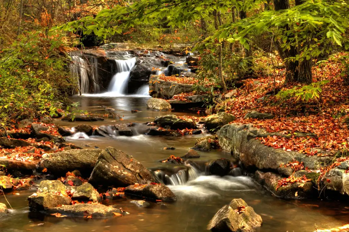 Hickory Run State Park附近的飯店