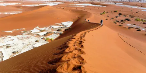 納米布-諾克盧福國家公園