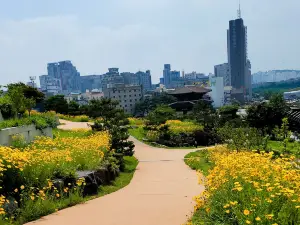 東大門歷史文化公園