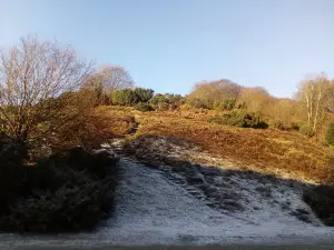 Rebild National Park