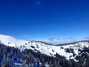 Kopaonik