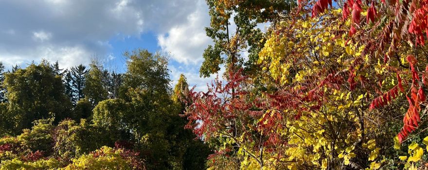 Bronte Creek Provincial Park