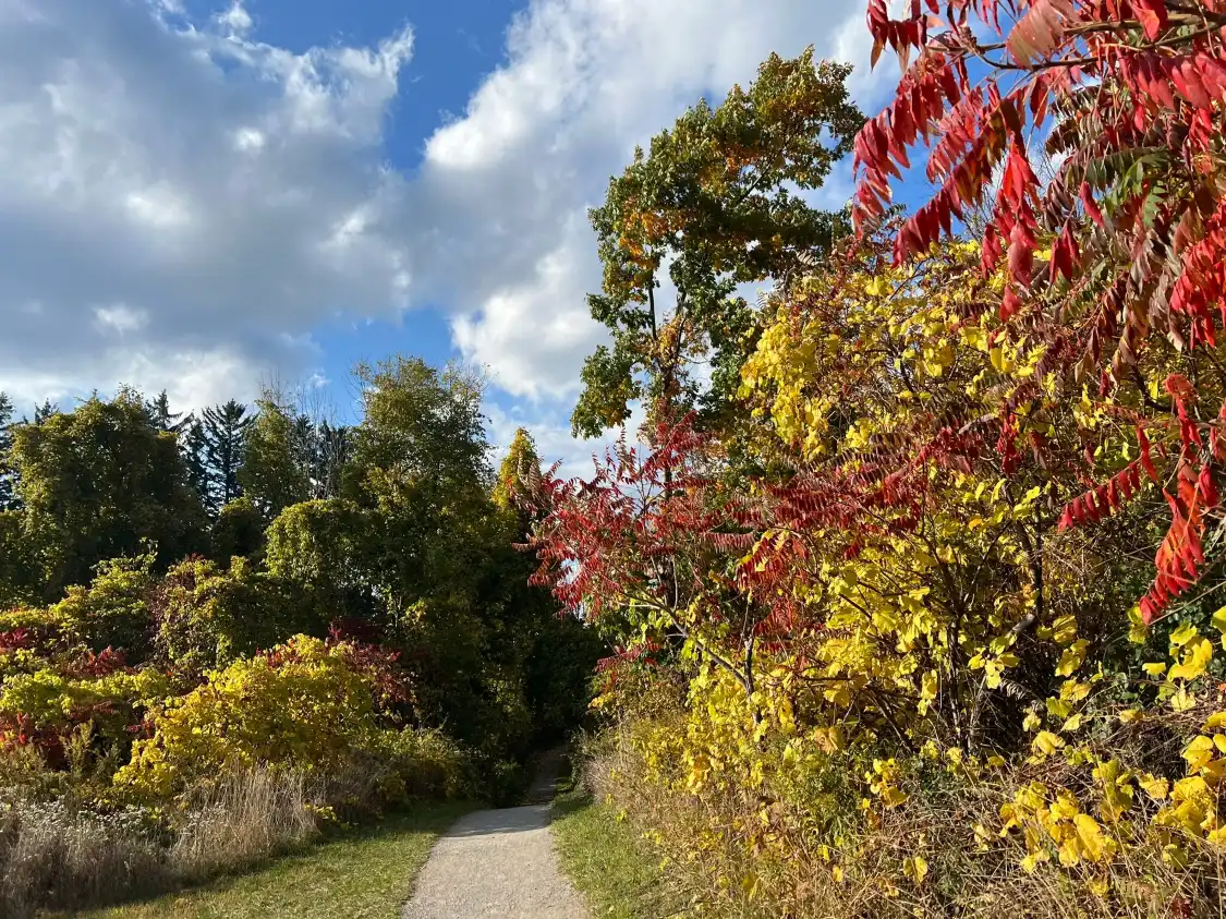 Hotels near Bronte Creek Provincial Park