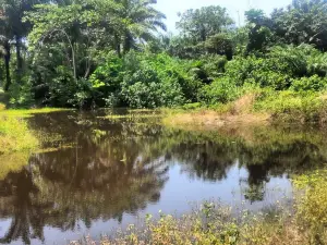 LUFASI Nature Park Lagos