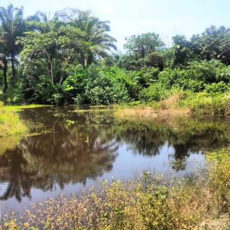 LUFASI Nature Park Lagos