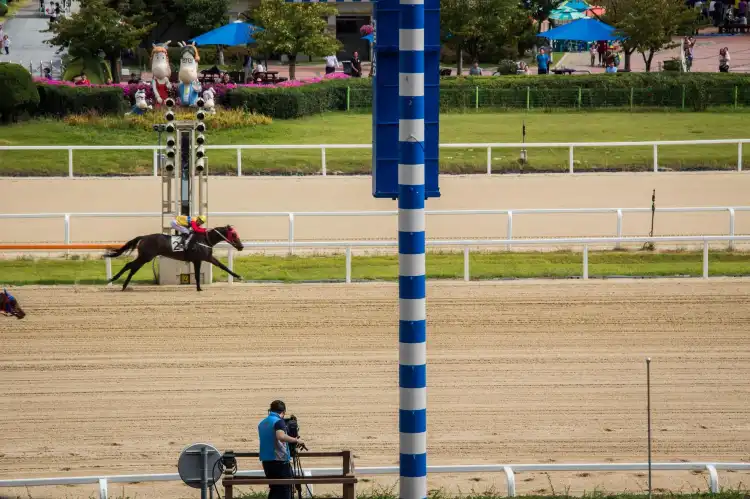 Hotels in der Nähe von Seoul Race Park