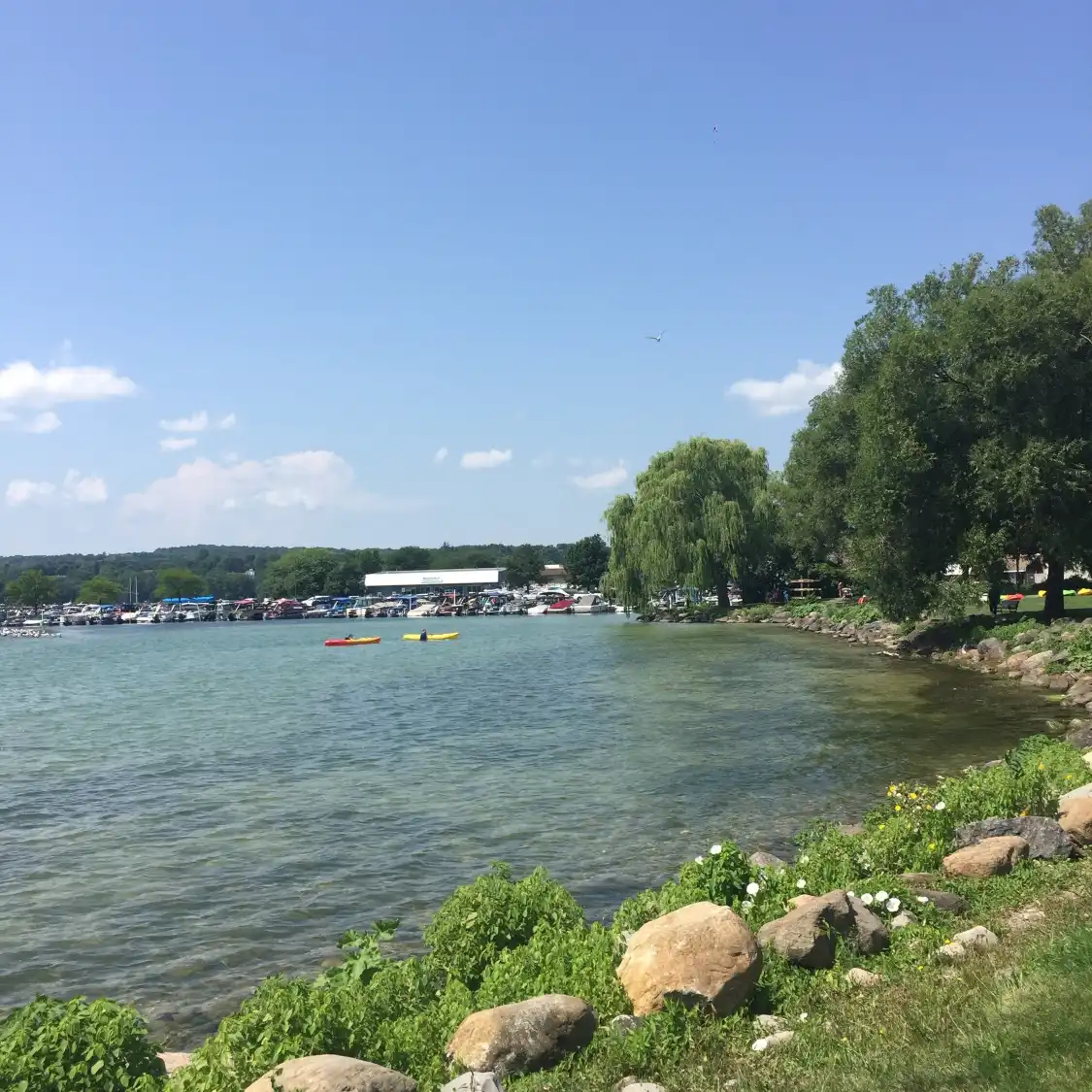 Hotels near Kershaw Park