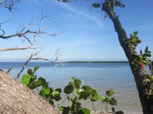 De Soto National Memorial