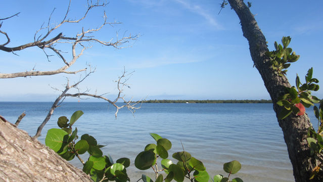De Soto National Memorial