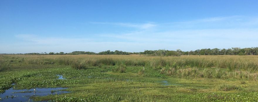 Iberá National Park