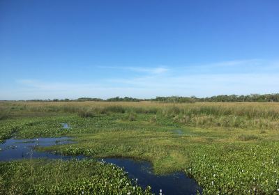 Iberá National Park