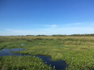 Ituzaingo Department