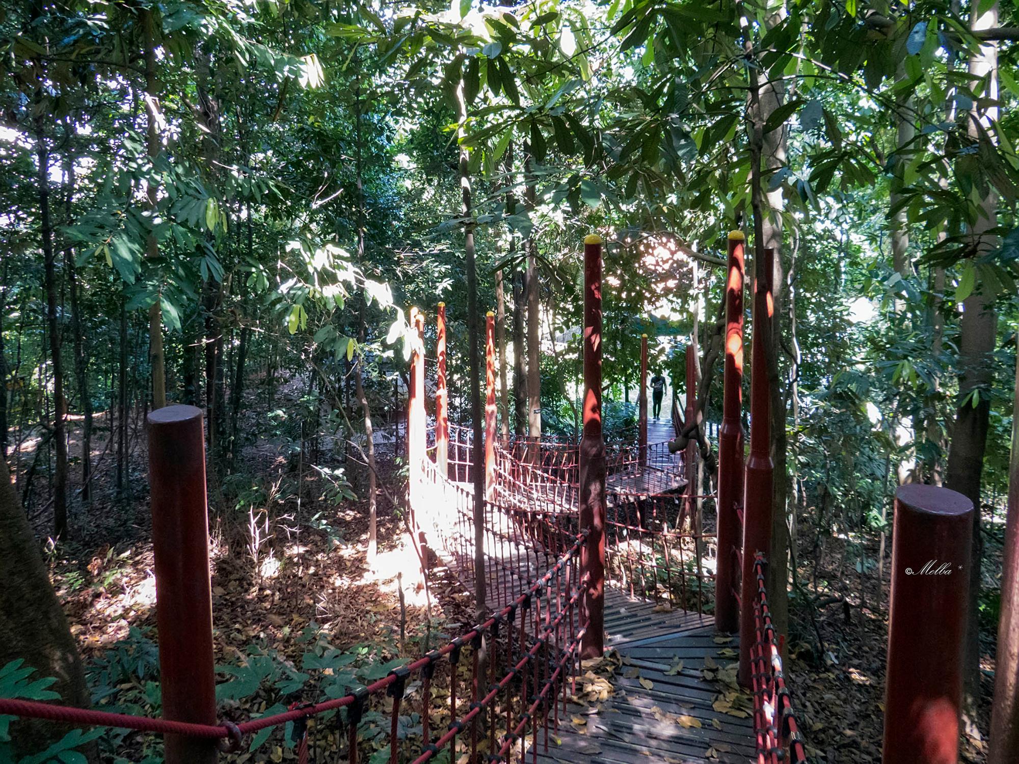 Taman Eko-Rimba Kuala Lumpur (TERKL)