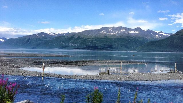 The Solomon Gulch Hatchery