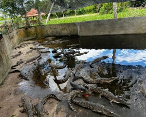 香港-米里 機票酒店 自由行