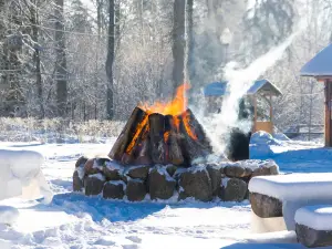 Belovezhskaya Pushha