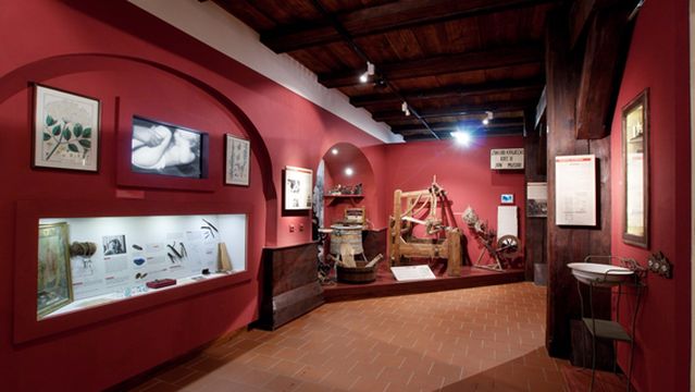 Muzeum Etnograficzne im. Marii Znamierowskiej-Prüfferowej w Toruniu