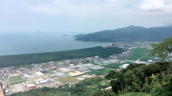 Niji No Matsubara Pine Grove