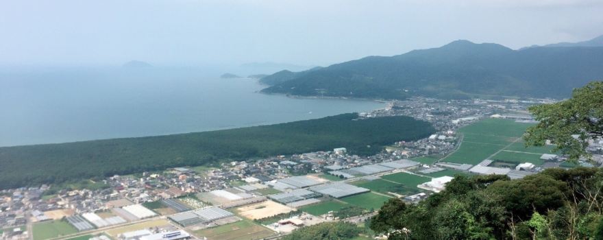 Niji No Matsubara Pine Grove